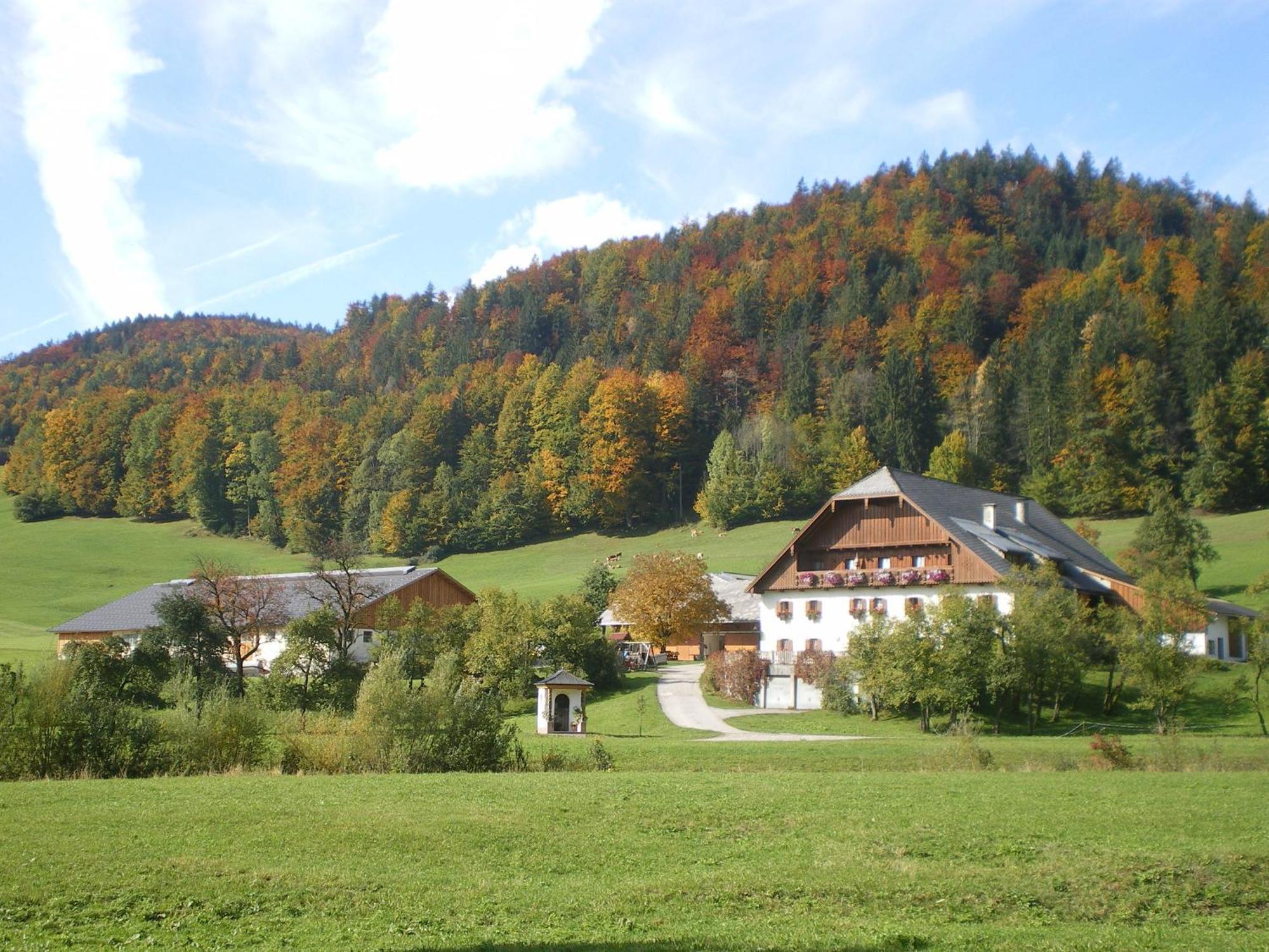 Russbachbauer Vila Saint Wolfgang Exterior foto