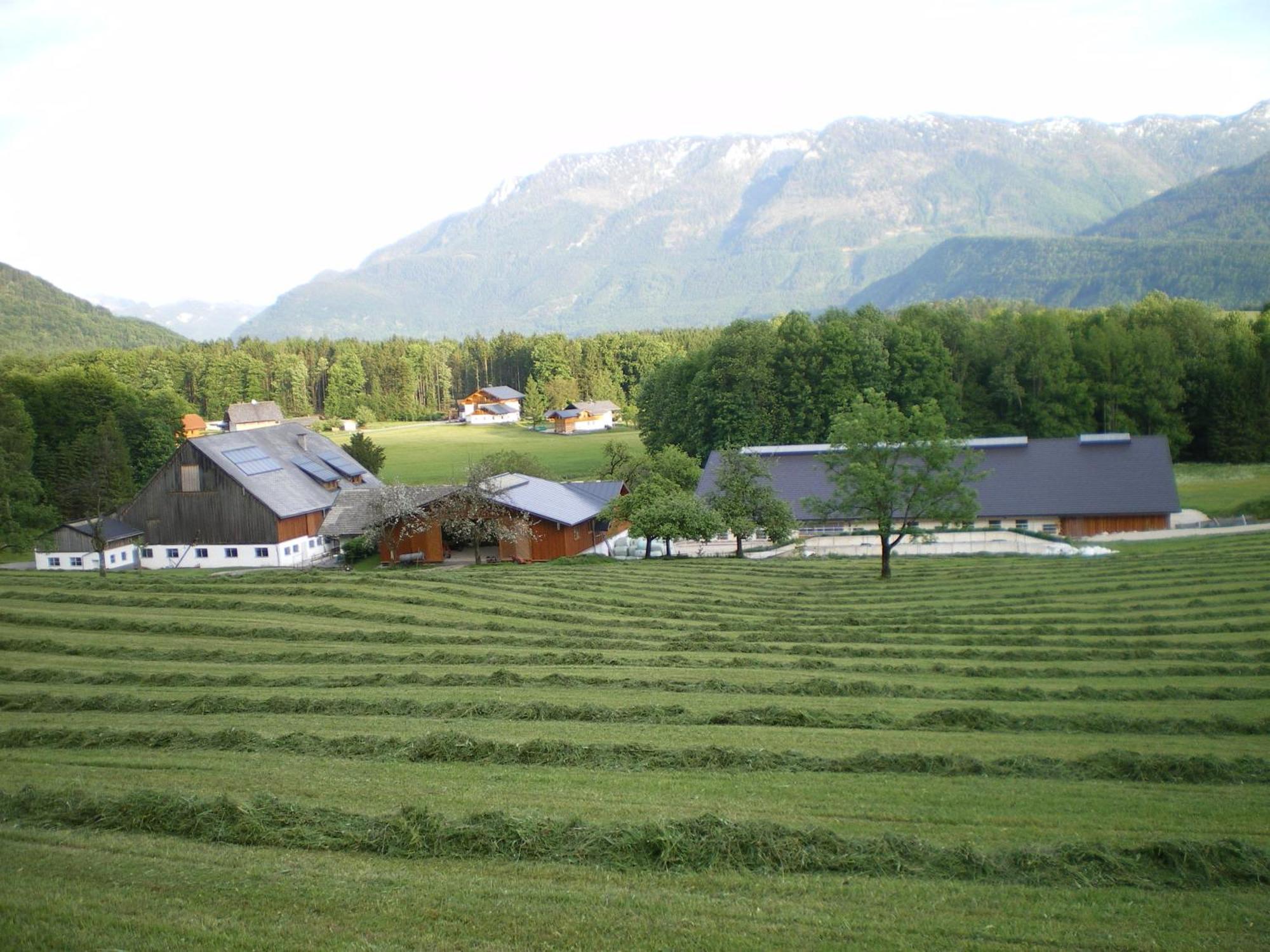 Russbachbauer Vila Saint Wolfgang Exterior foto