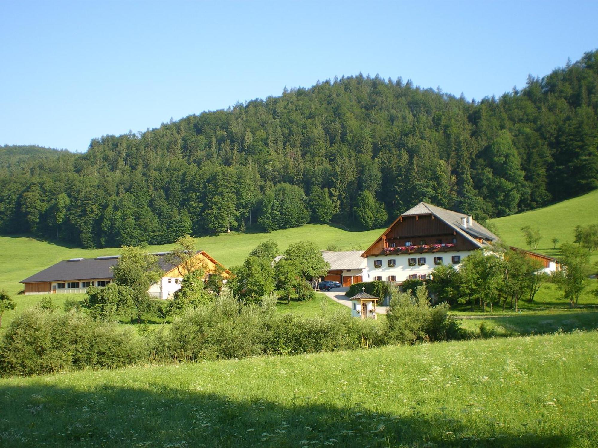 Russbachbauer Vila Saint Wolfgang Exterior foto