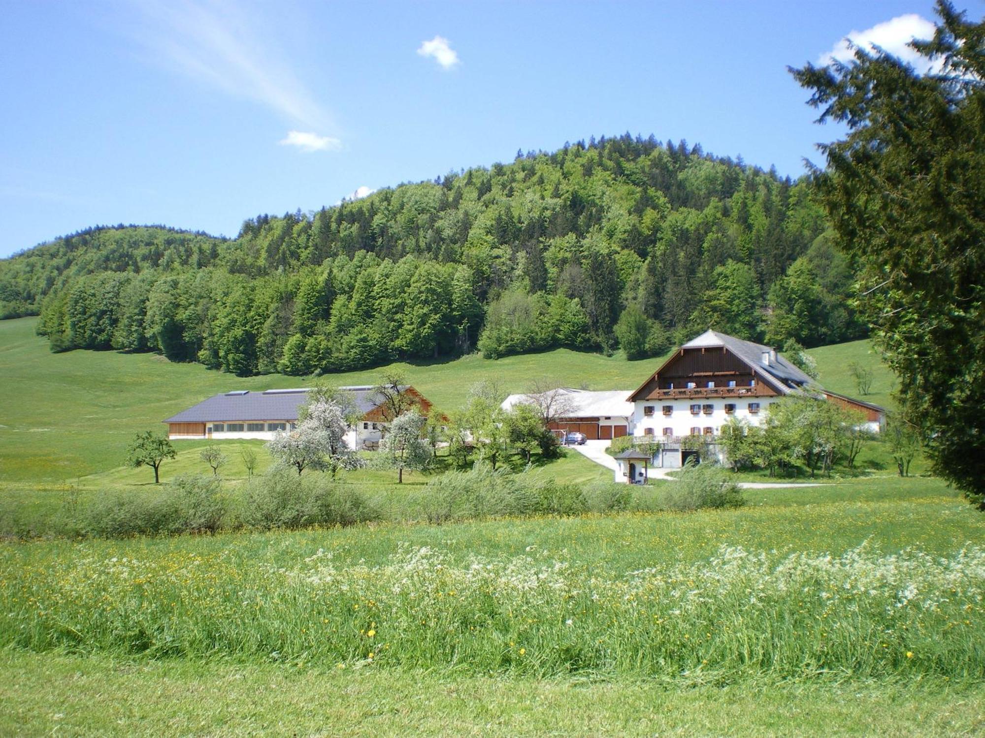 Russbachbauer Vila Saint Wolfgang Exterior foto