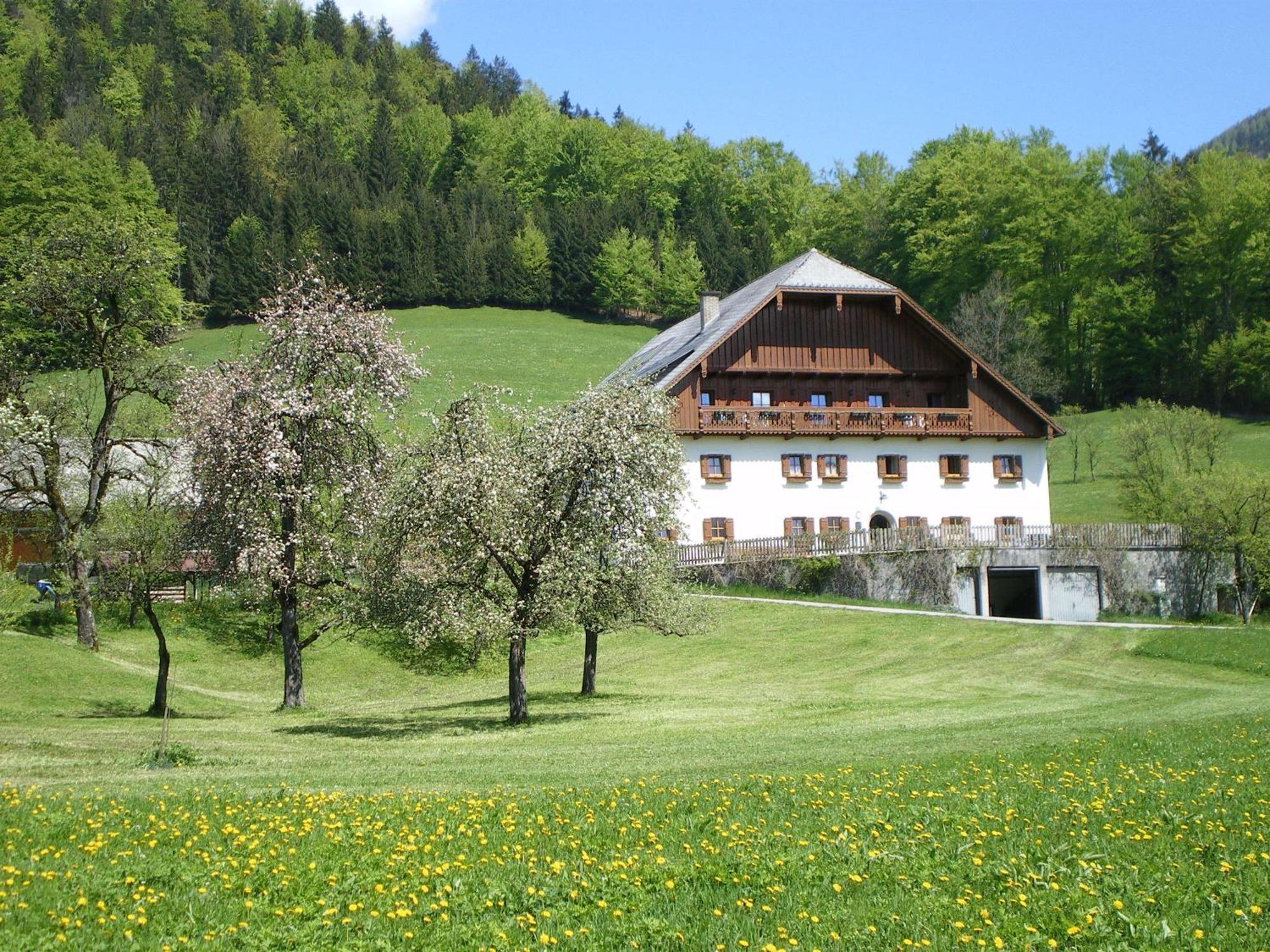 Russbachbauer Vila Saint Wolfgang Exterior foto
