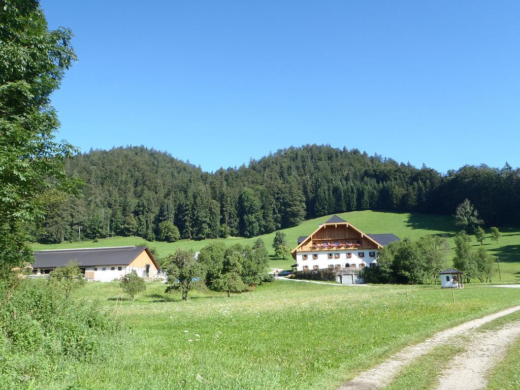 Russbachbauer Vila Saint Wolfgang Exterior foto